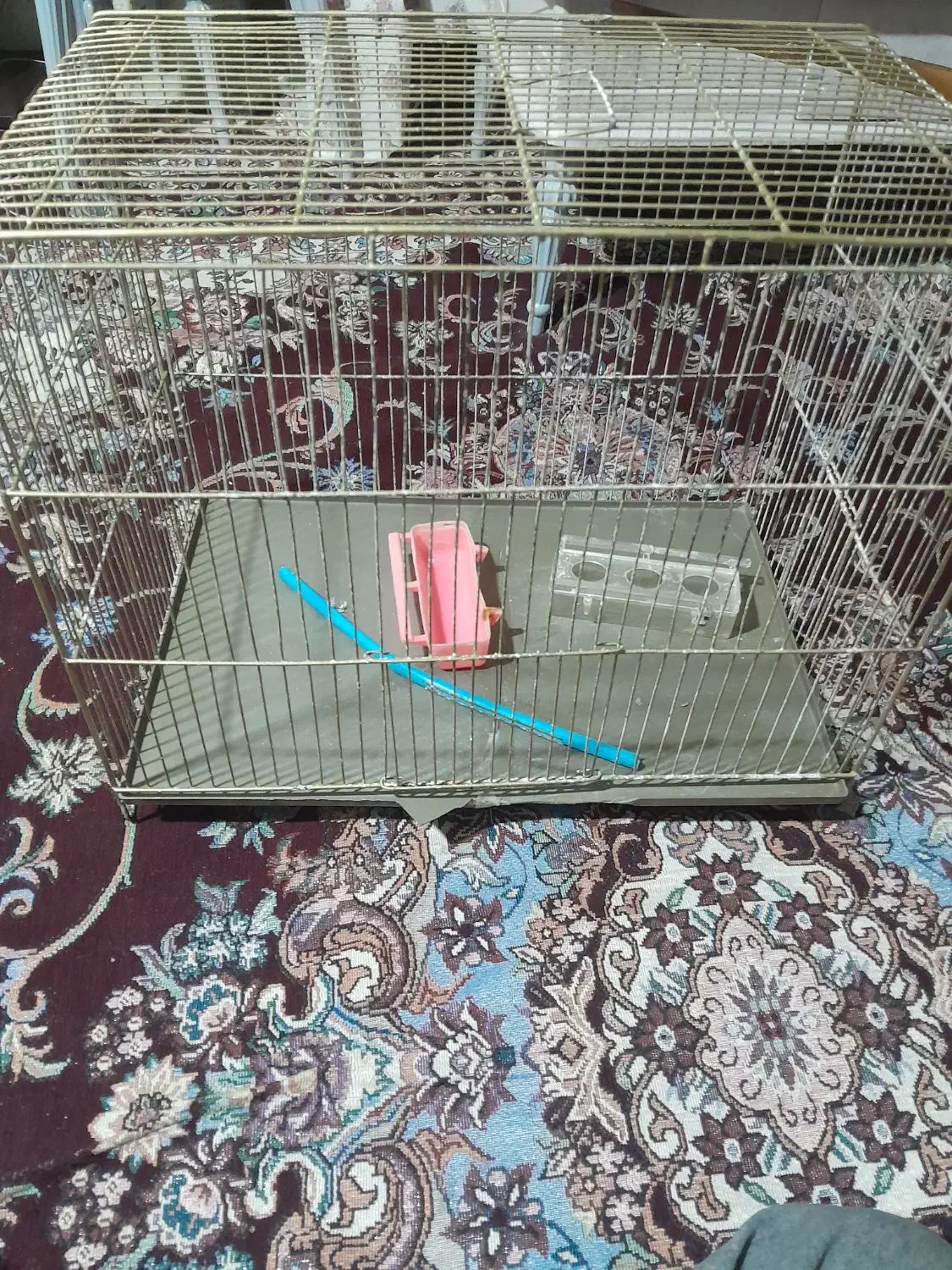 قفس مخصوص نگهداری پرندگان حجم بالا|لوازم جانبی حیوانات|تهران, جوادیه|دیوار