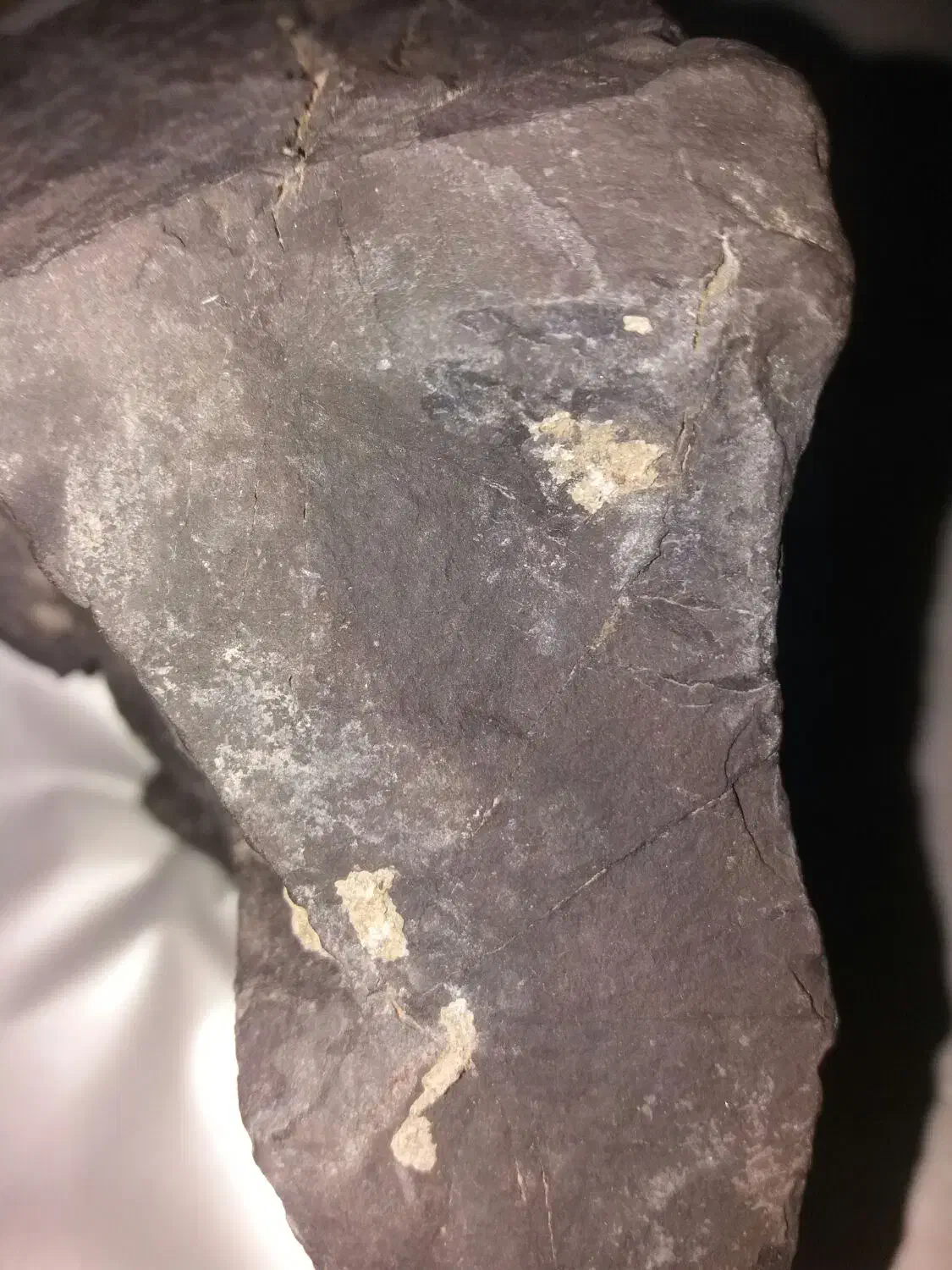 شهاب سنگ|کلکسیون اشیاء عتیقه|بندرعباس, |دیوار