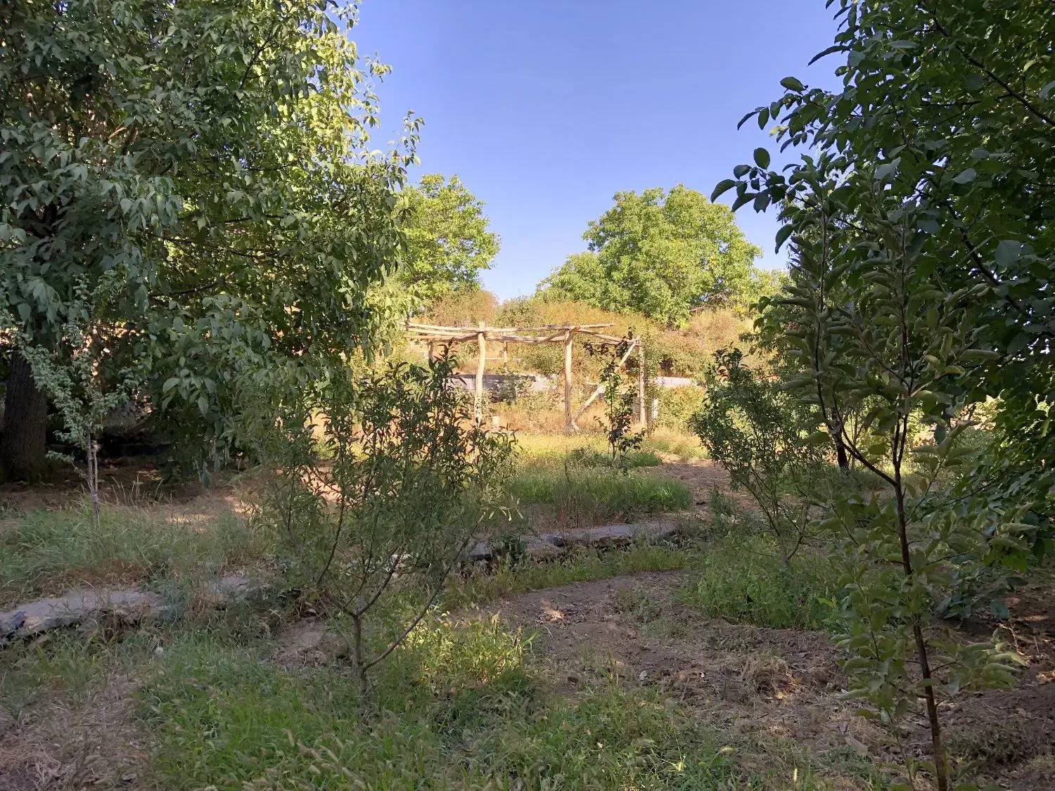 زمین باغ  ۶۵۰ متری فروشی در روستای کشه رایان نطنز|فروش زمین و ملک کلنگی|اصفهان, شهرستان|دیوار