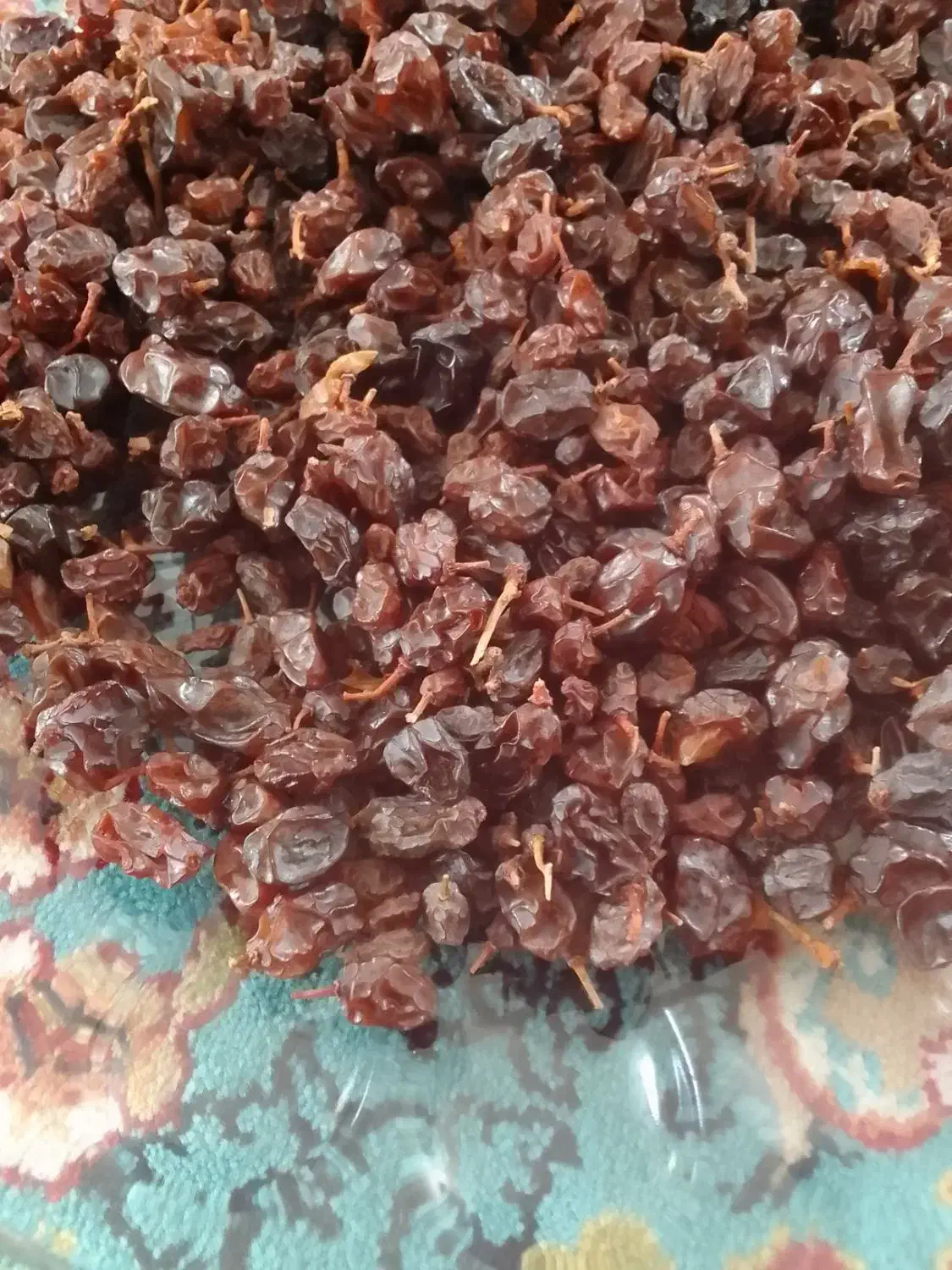 سنجد|خوردنی و آشامیدنی|نهاوند, |دیوار