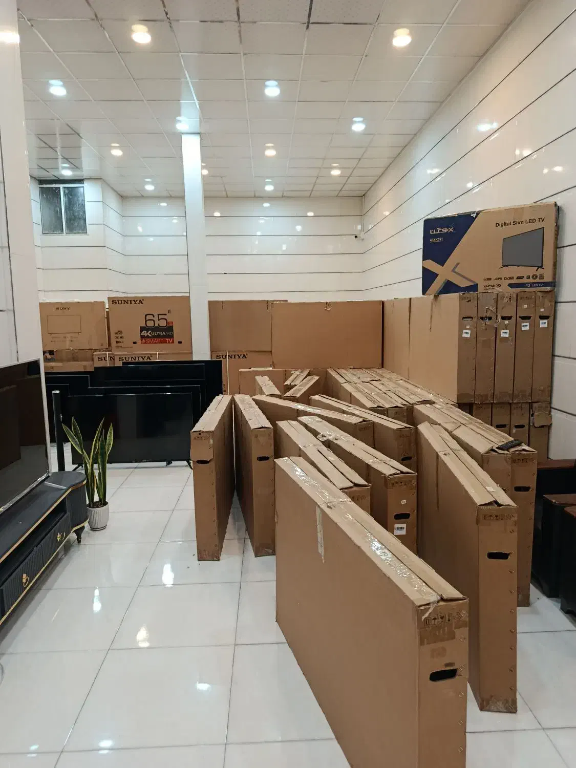 تلویزیون به قیمت کارخانه|تلویزیون و پروژکتور|قم, نیروگاه|دیوار