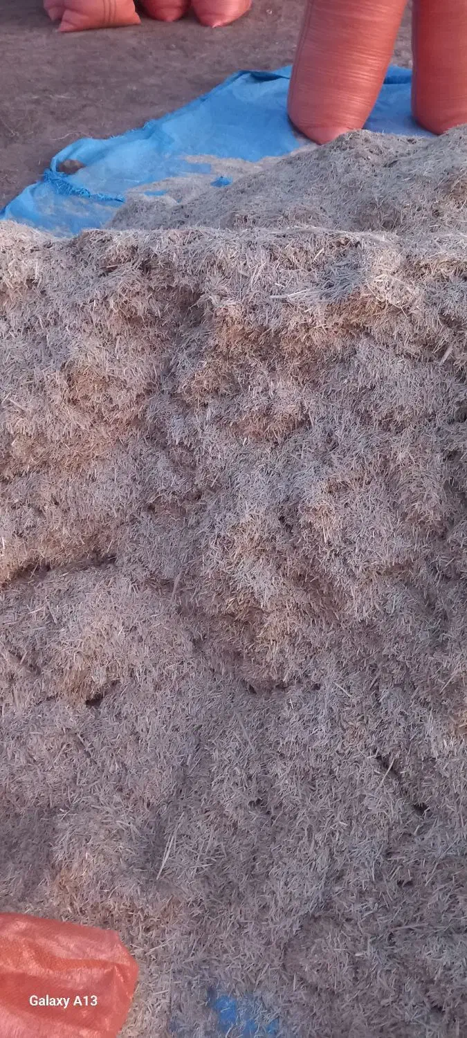 کاه|حیوانات مزرعه|تربت جام, میان جام|دیوار