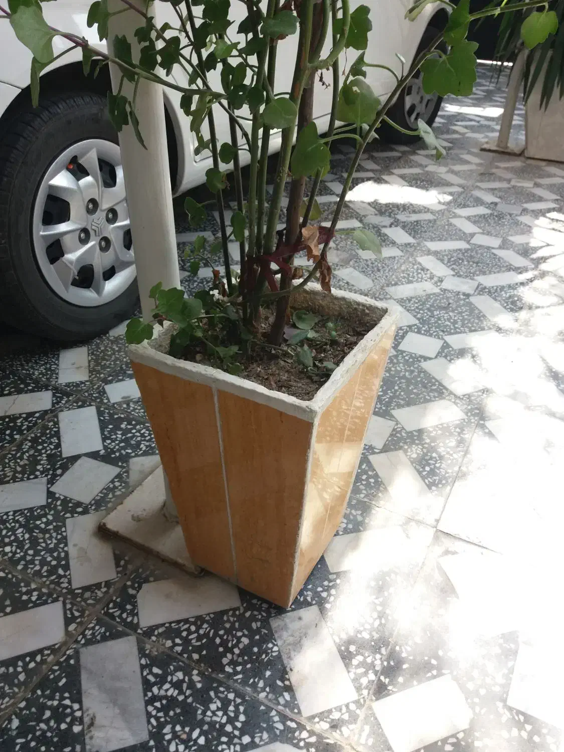 ساخت‌انواع‌گلدان‌سیمانی‌وسرامیکی|صنایع دستی و سایر لوازم تزئینی|بندر ترکمن, |دیوار