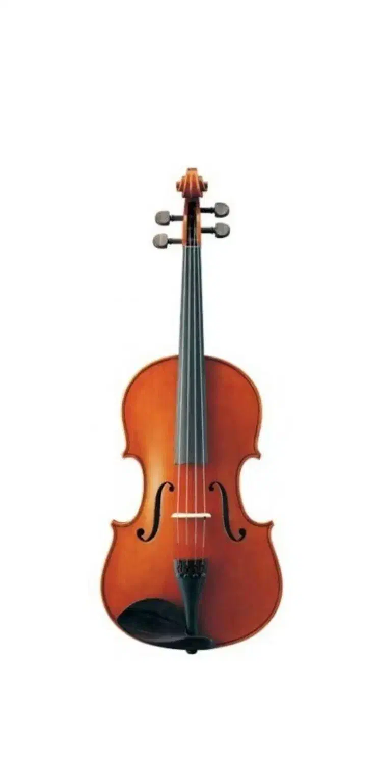 ویلن tf student|ویولن|رباطکریم, رباطکریم|دیوار