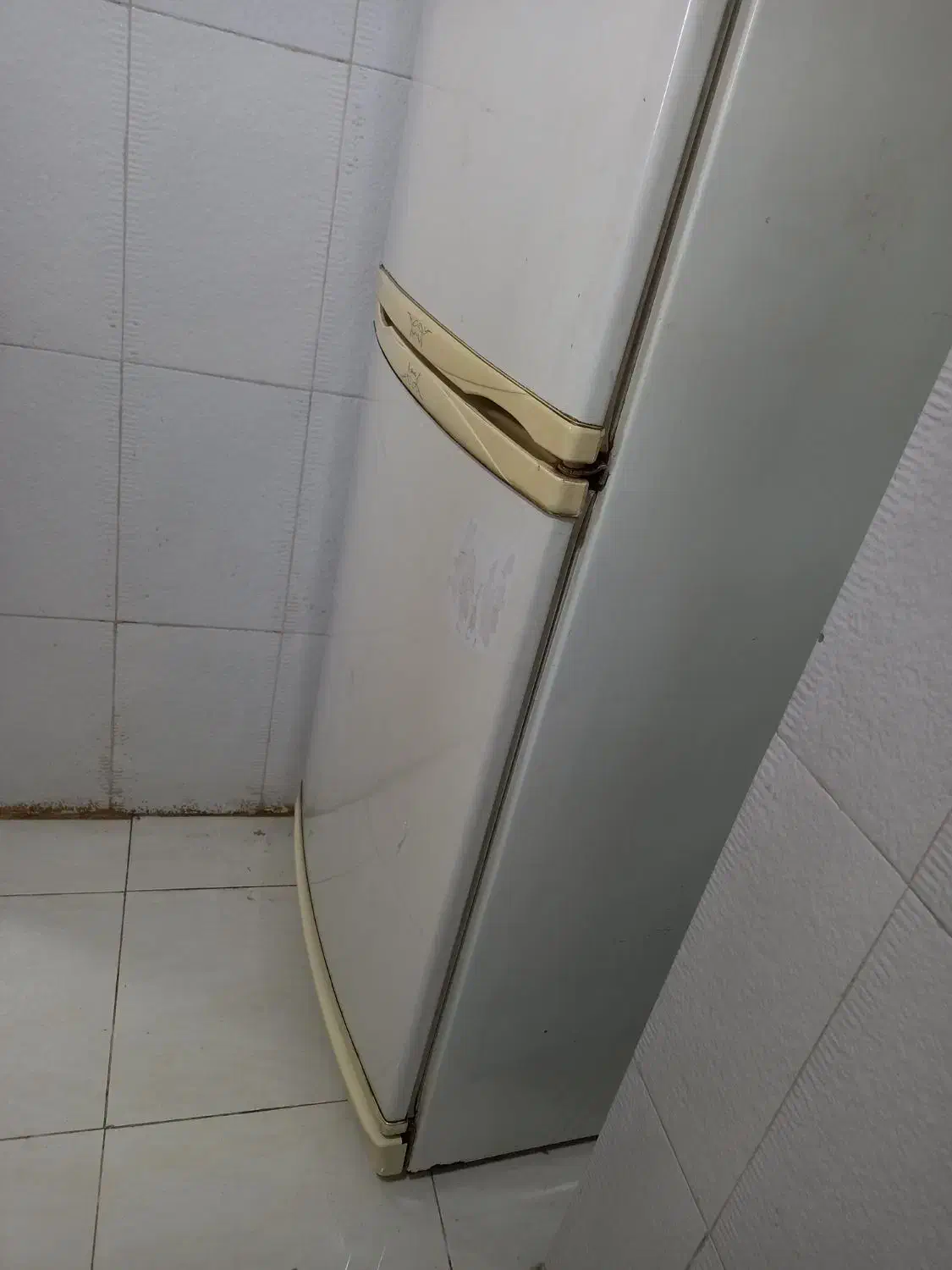 یخچال و فریزر هیمالیا|یخچال و فریزر|رشت, کوی مهر|دیوار