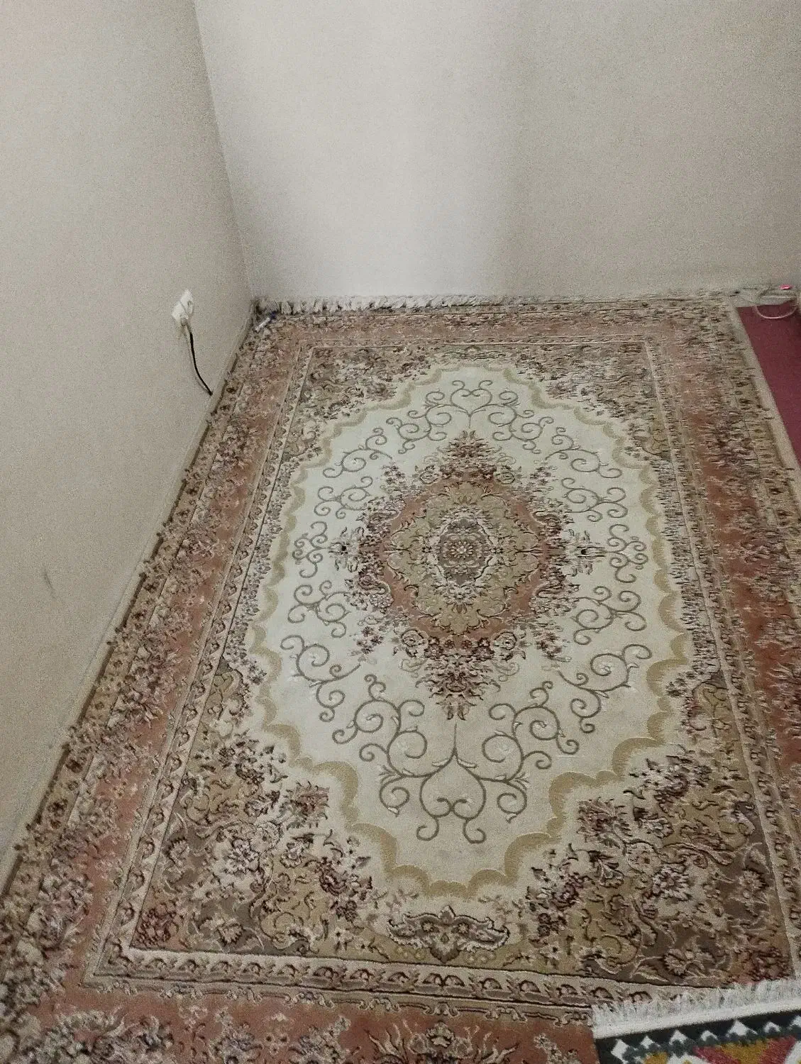 فرش 6 متری گل برجسته|فرش|بومهن, |دیوار