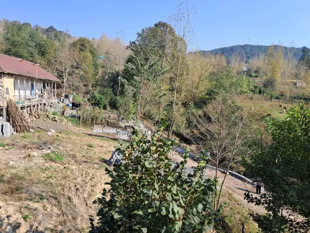 اجاره روزانه سوییت  لفور|اجارهٔ کوتاه‌مدت آپارتمان و سوئیت|آلاشت, |دیوار