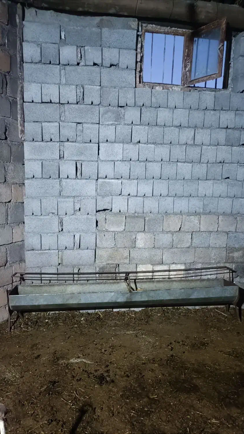 هاخور وآبخوری و بیست متر فنس|لوازم جانبی حیوانات|سیلوانه, |دیوار