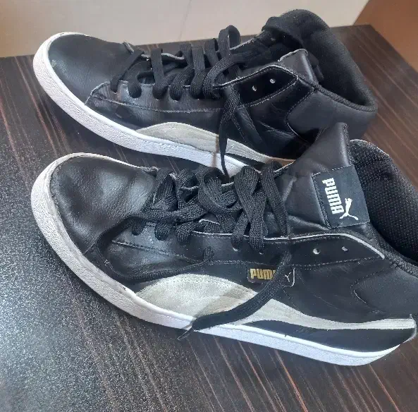 پوما اورجینال|کیف، کفش، کمربند|اراک, |دیوار