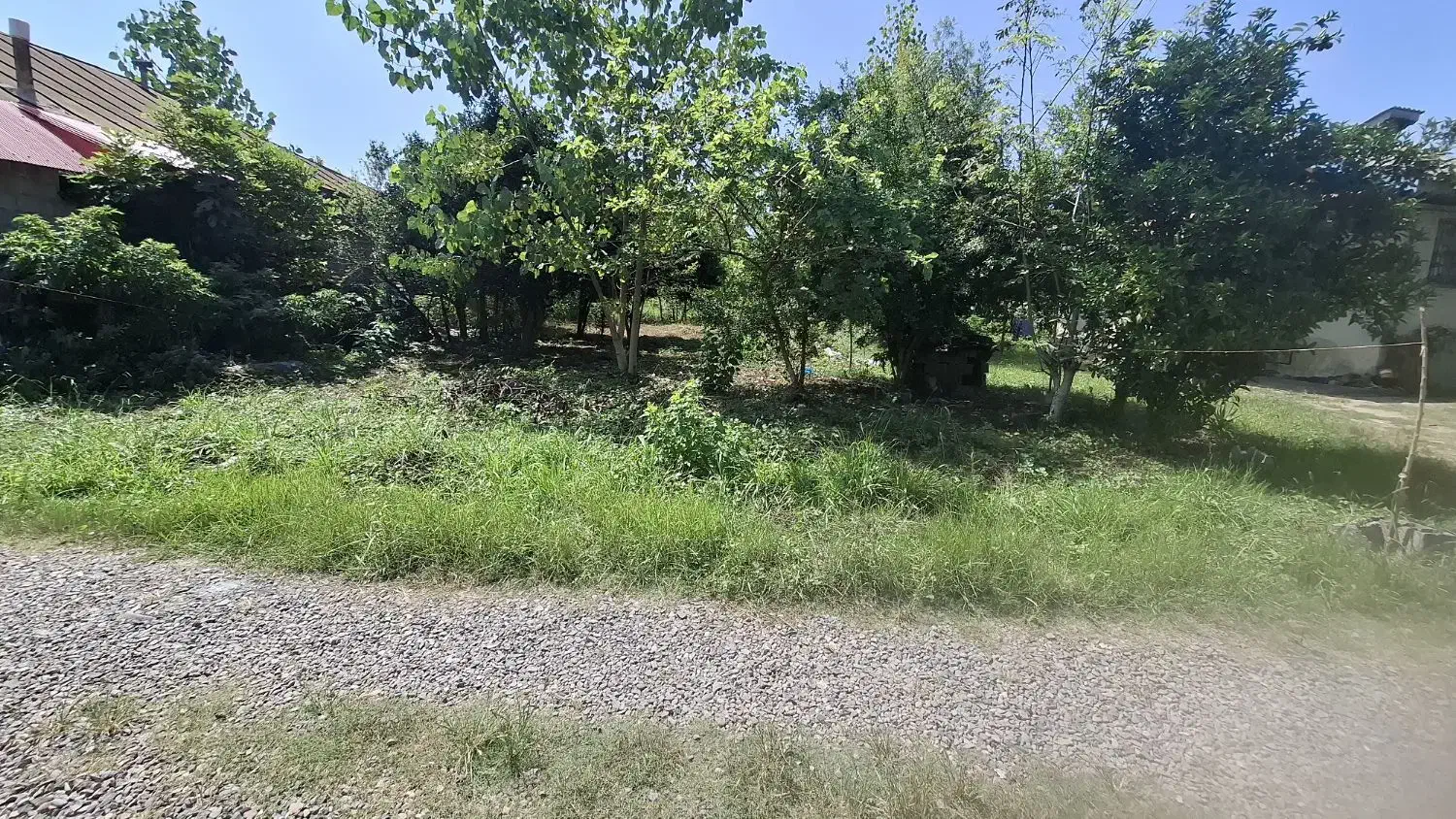 فروش زمین مسکونی 450متری /جاده کیاشهر /تونل جنگلی|فروش زمین و ملک کلنگی|کیاشهر, |دیوار