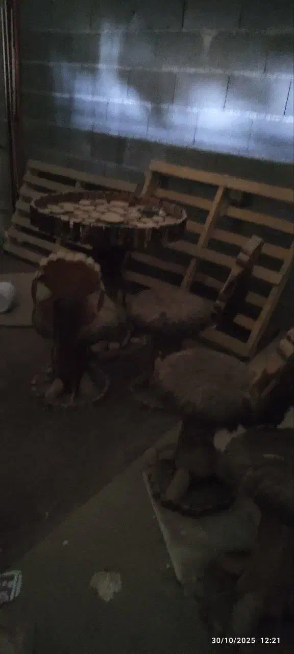 میز غذا خوری|میز و صندلی غذاخوری|خرمآباد, |دیوار