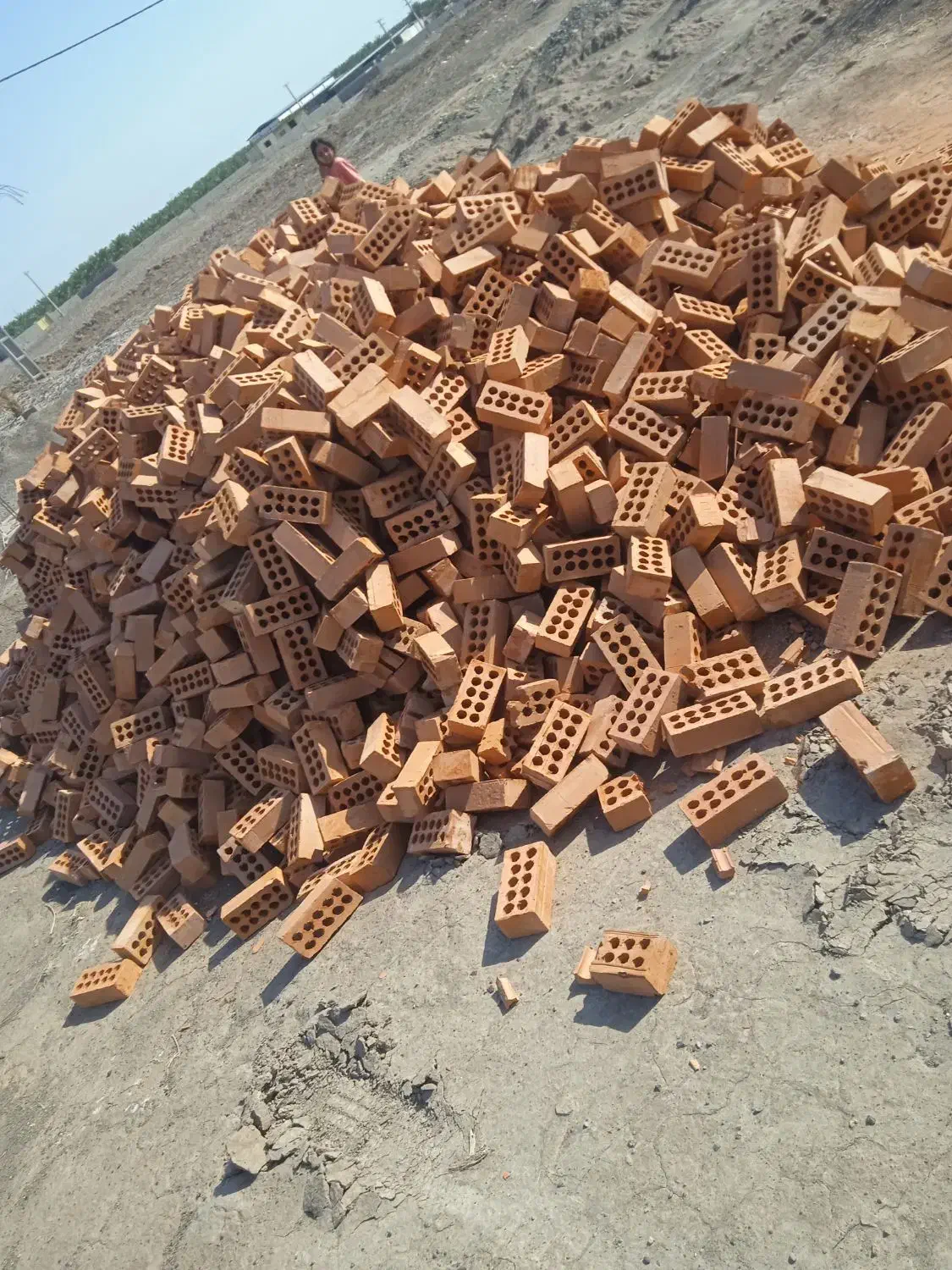 تیغه اجر سفال|مصالح و تجهیزات ساختمان|بم, |دیوار