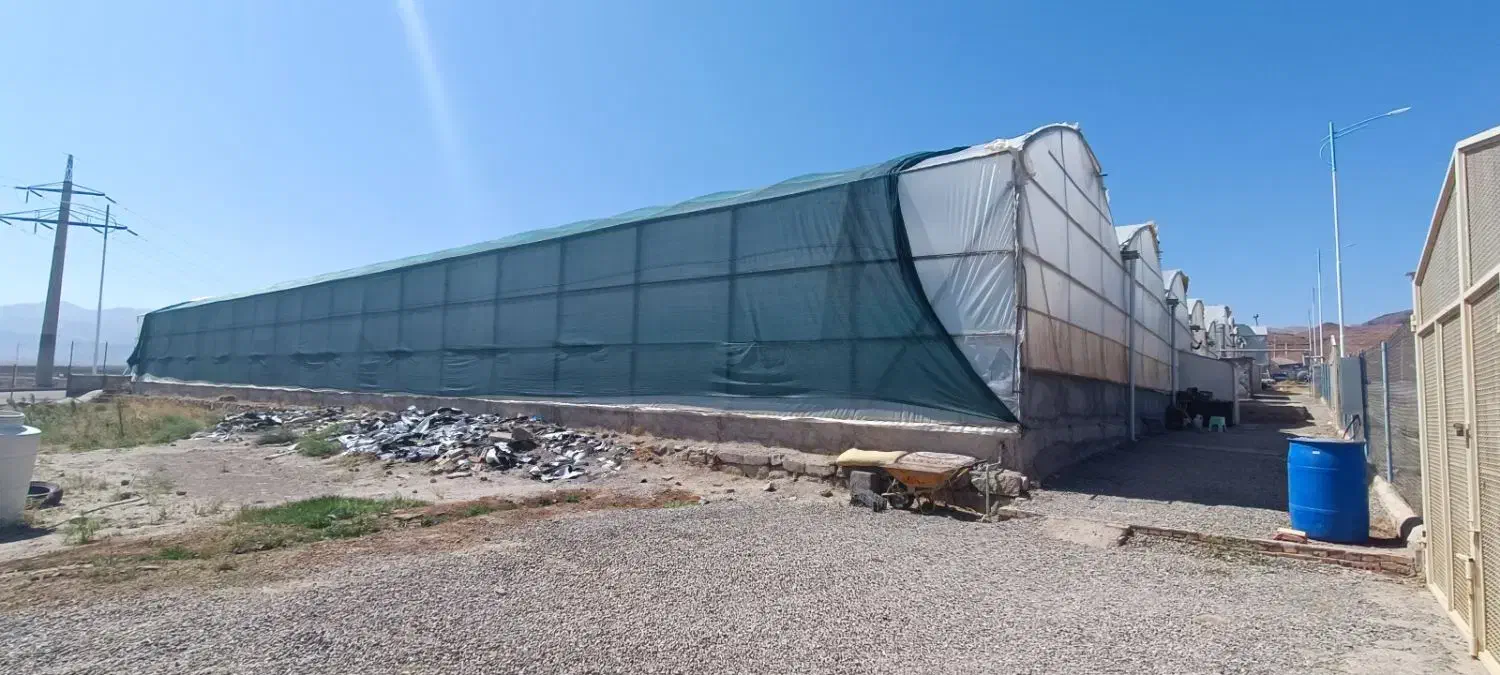 گلخانه مدرن هیدروپونیک|فروش دفتر صنعتی، کشاورزی، تجاری|جلفا, |دیوار