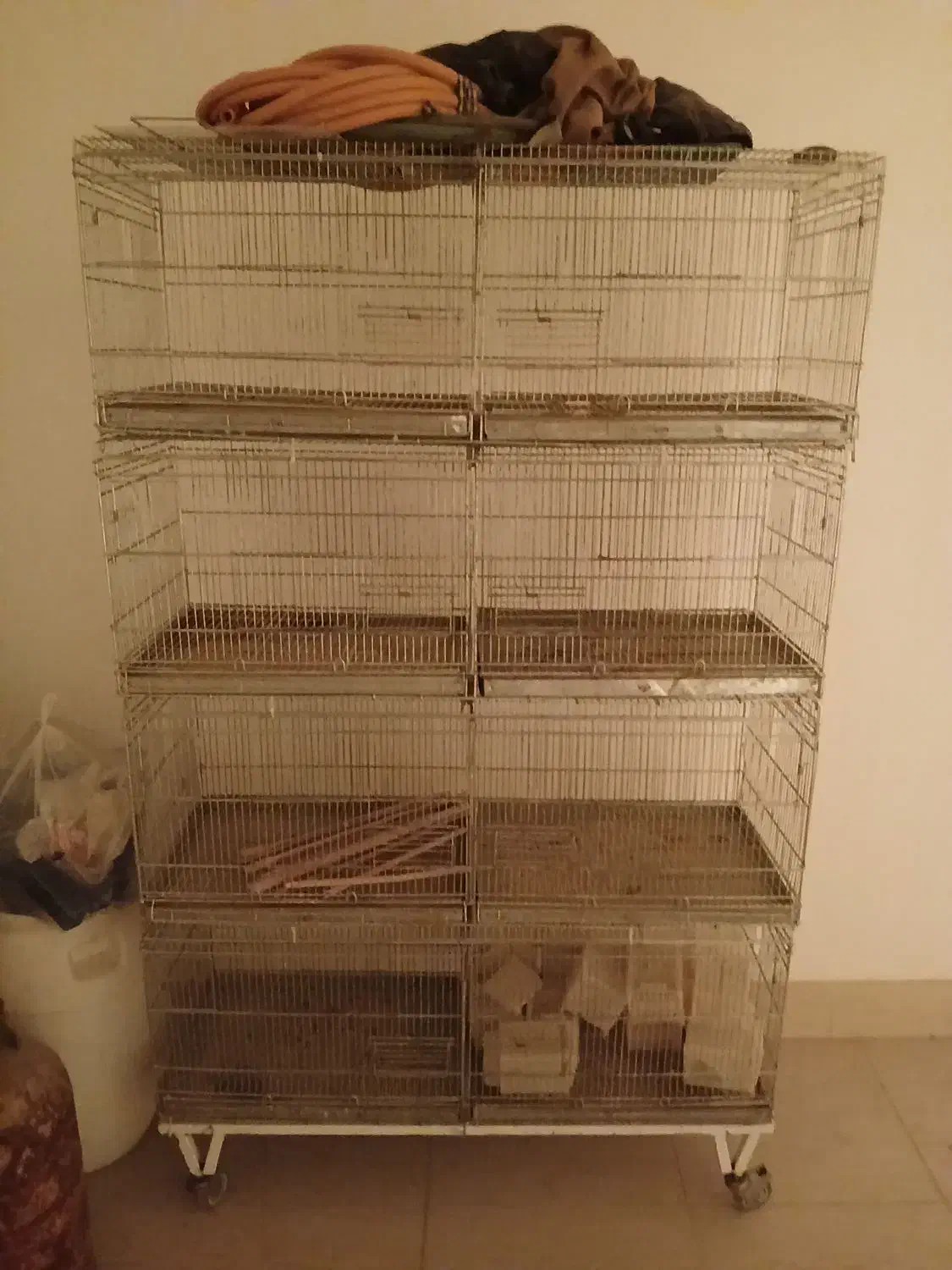 جفت خون|لوازم جانبی حیوانات|بوشهر, |دیوار