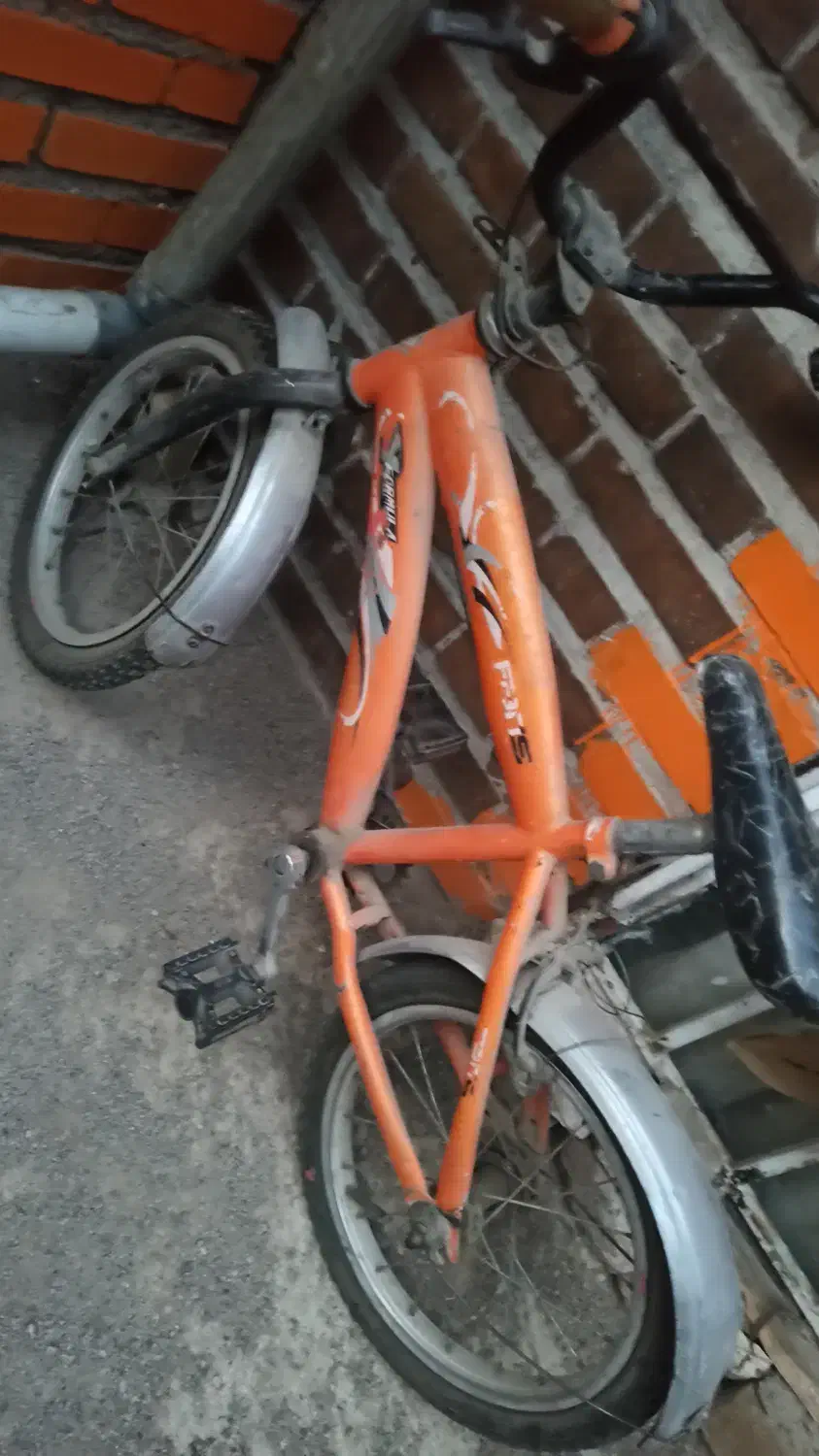 دوچرخه فرشی|دوچرخه، اسکیت، اسکوتر|مشهد, شهرک مهر آباد|دیوار