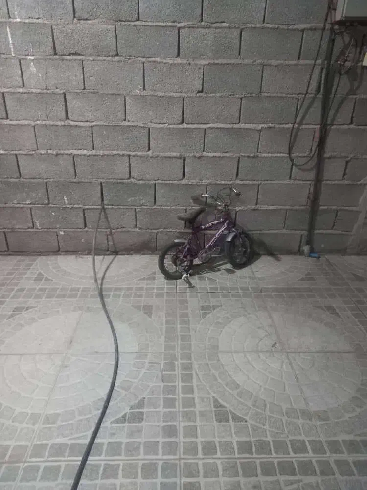 دوچرخه  12|دوچرخه، اسکیت، اسکوتر|جیرفت, |دیوار