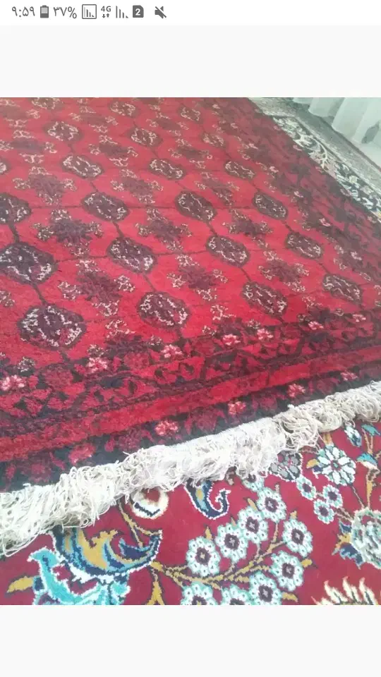 فروش یک جفت فرش دستباف قدیمی|فرش|تربت جام, جامرود|دیوار