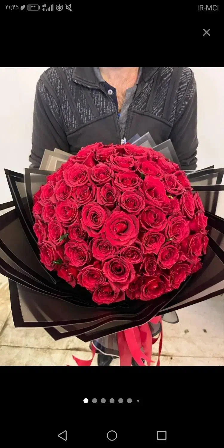 گل رز طبیعی|گل و گیاه طبیعی|مشهد, آزادشهر|دیوار