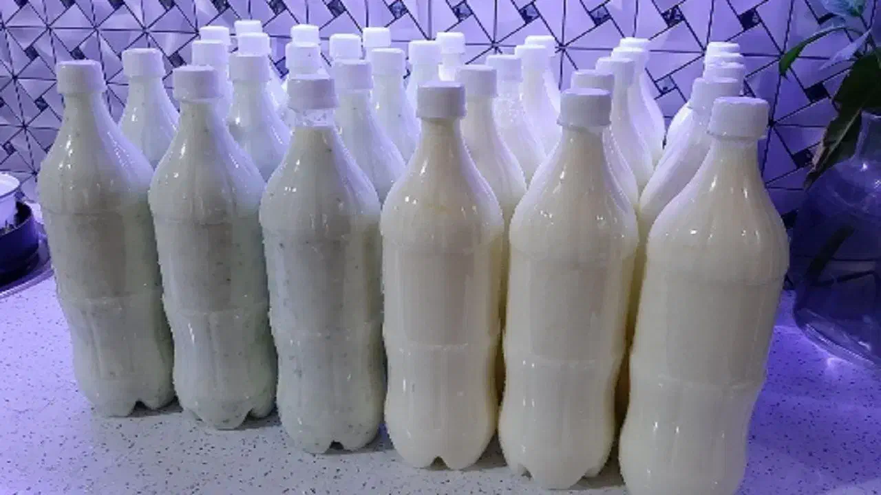 دارو گیاهی شپش مو صدرصد تضمینی|آرایشی، بهداشتی، درمانی|میاندوآب, |دیوار