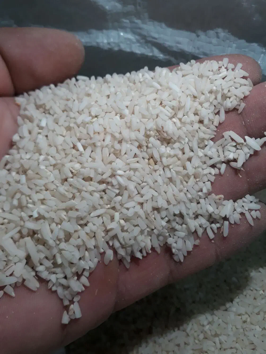 برنج سرلاشه هاشمی|خوردنی و آشامیدنی|الوند, |دیوار