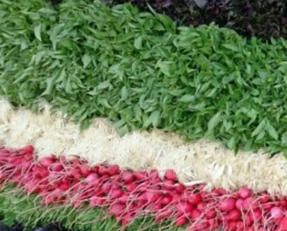 سبزی خورشی و خوردنـی|خوردنی و آشامیدنی|شاهین‌شهر, حاجی آباد|دیوار