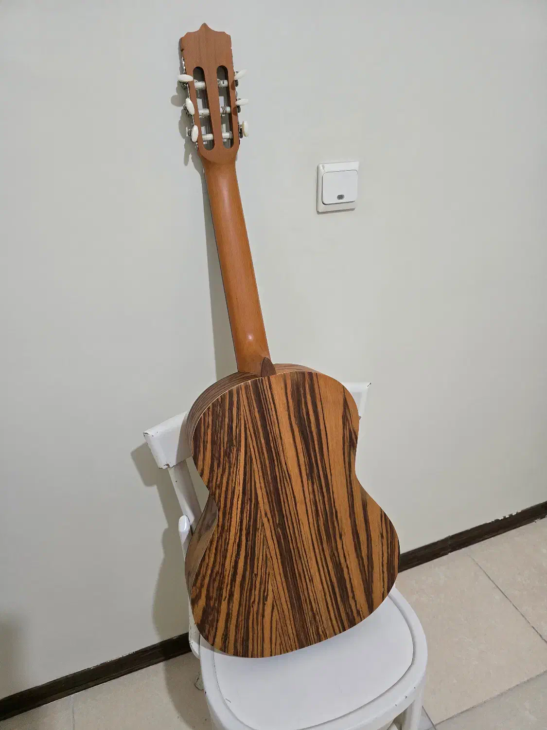 گیتار پارسی مبتدی|گیتار، بیس، امپلیفایر|تهران, سازمان برنامه شمالی|دیوار