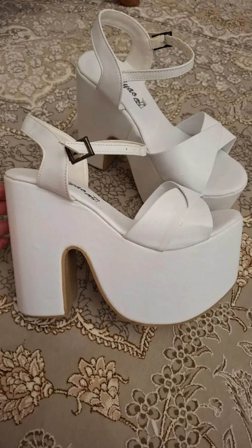 کفش مجلسی|کیف، کفش، کمربند|اردبیل, |دیوار