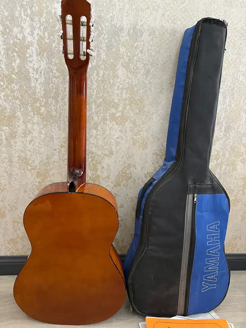 گیتار نو و خوش صدای گود من بهمراه کیف و کتاب|گیتار، بیس، امپلیفایر|کرج, گوهردشت|دیوار