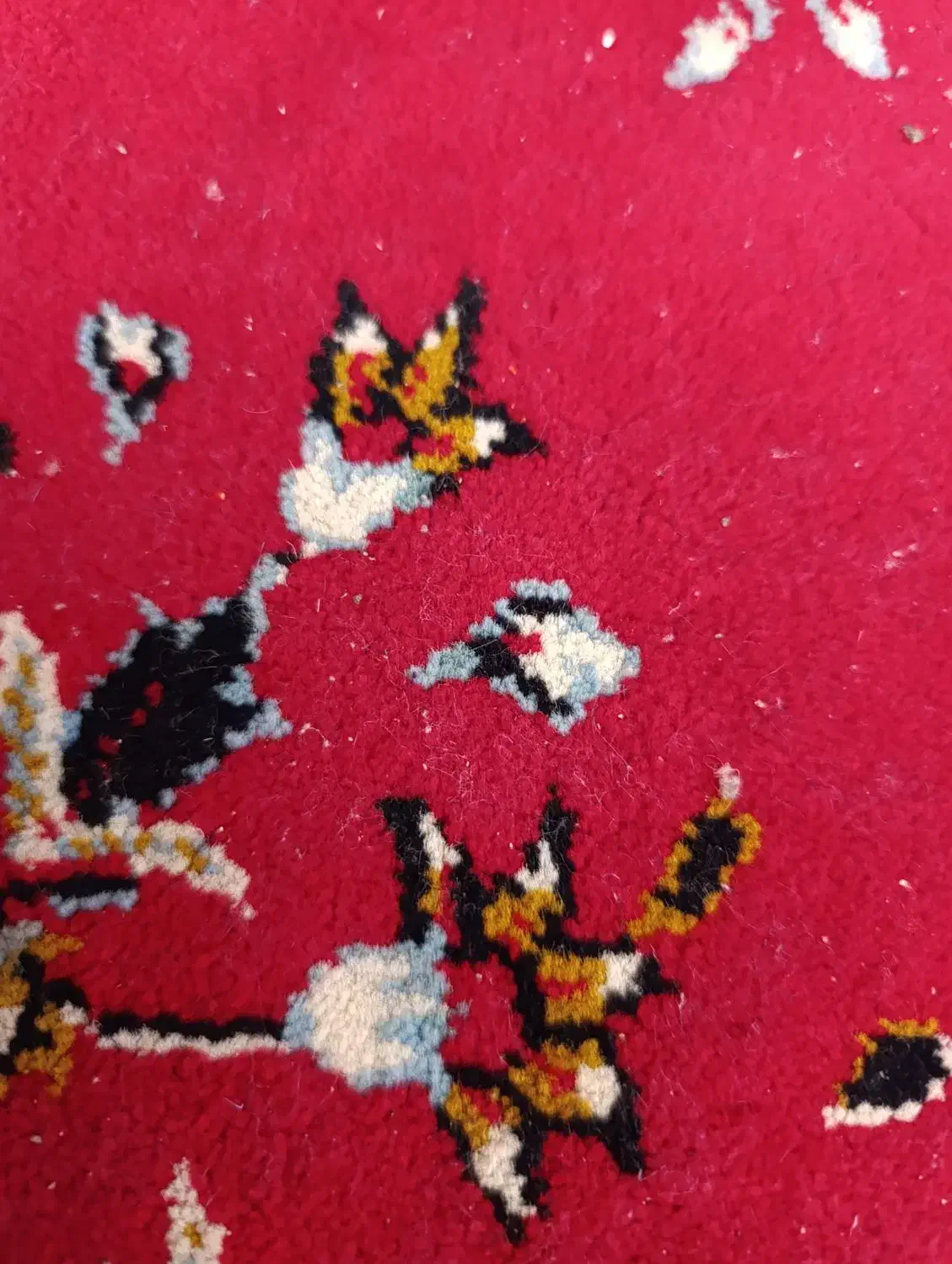 سیم کارت رند ایرانسل|سیم‌کارت|آباده, |دیوار