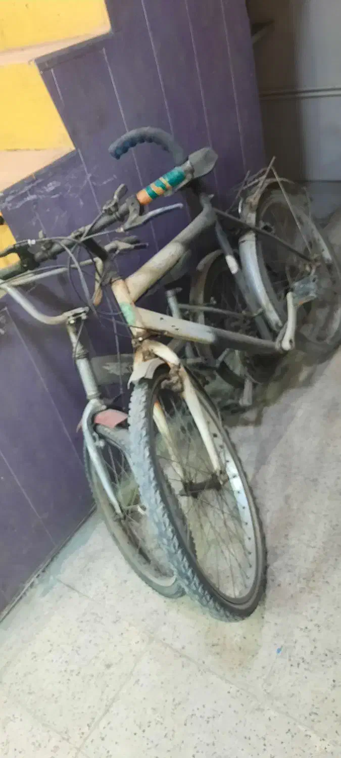 دوچرخه ۳عدد|دوچرخه، اسکیت، اسکوتر|بجنورد, |دیوار