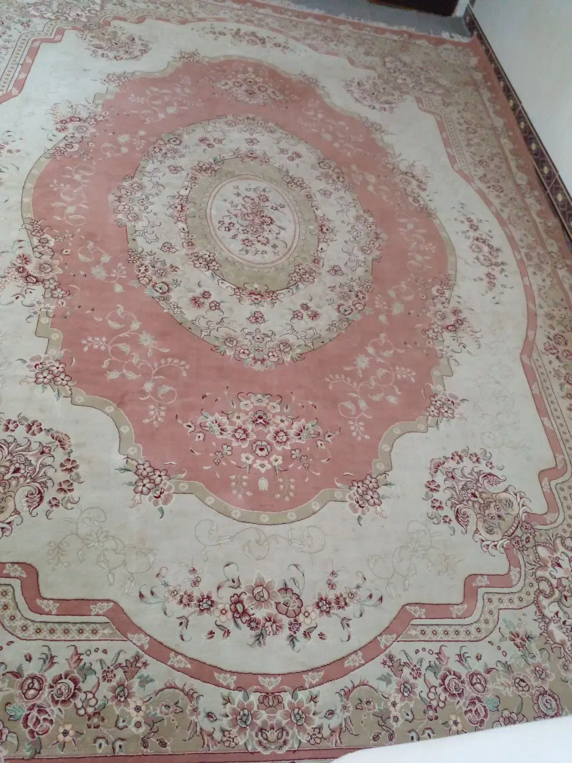 جفت قالی دوازده متری|فرش|میان ولایت, |دیوار