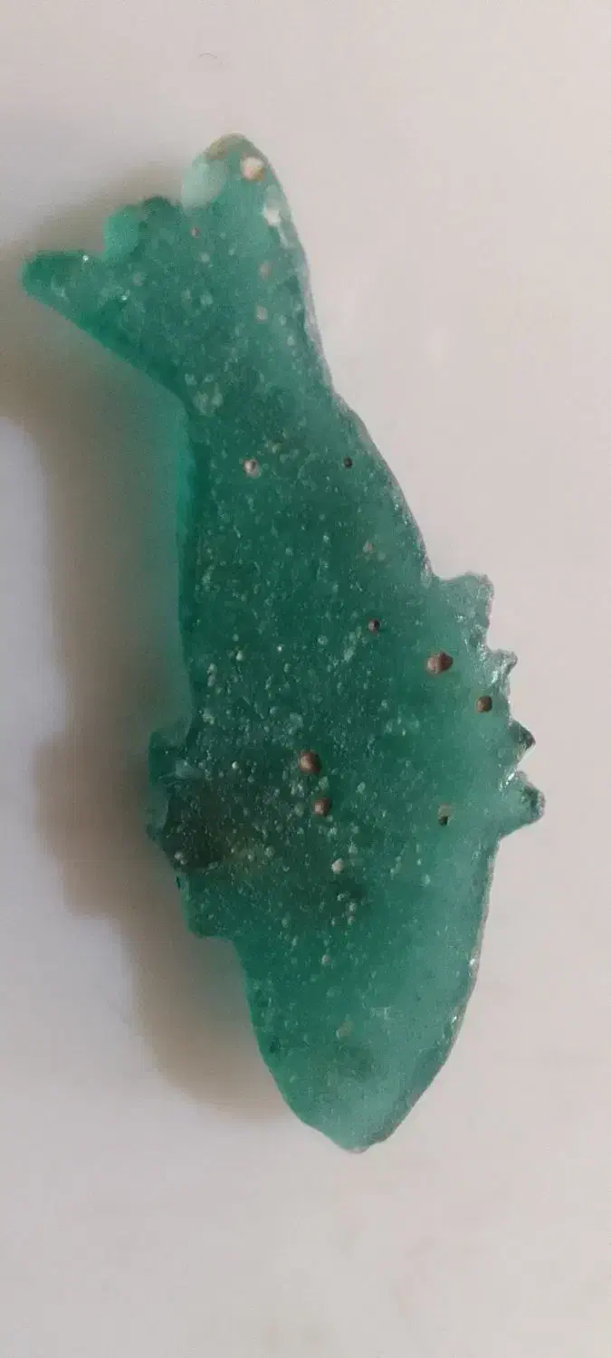 مهره ماهی|کلکسیون اشیاء عتیقه|ایلام, |دیوار