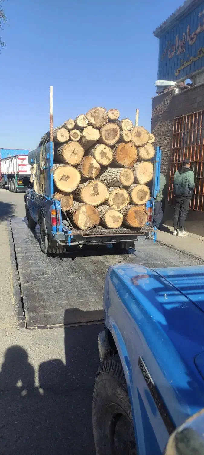 خدمات چوب بری  و هرس درختان|خدمات باغبانی و درختکاری|ساوه, |دیوار