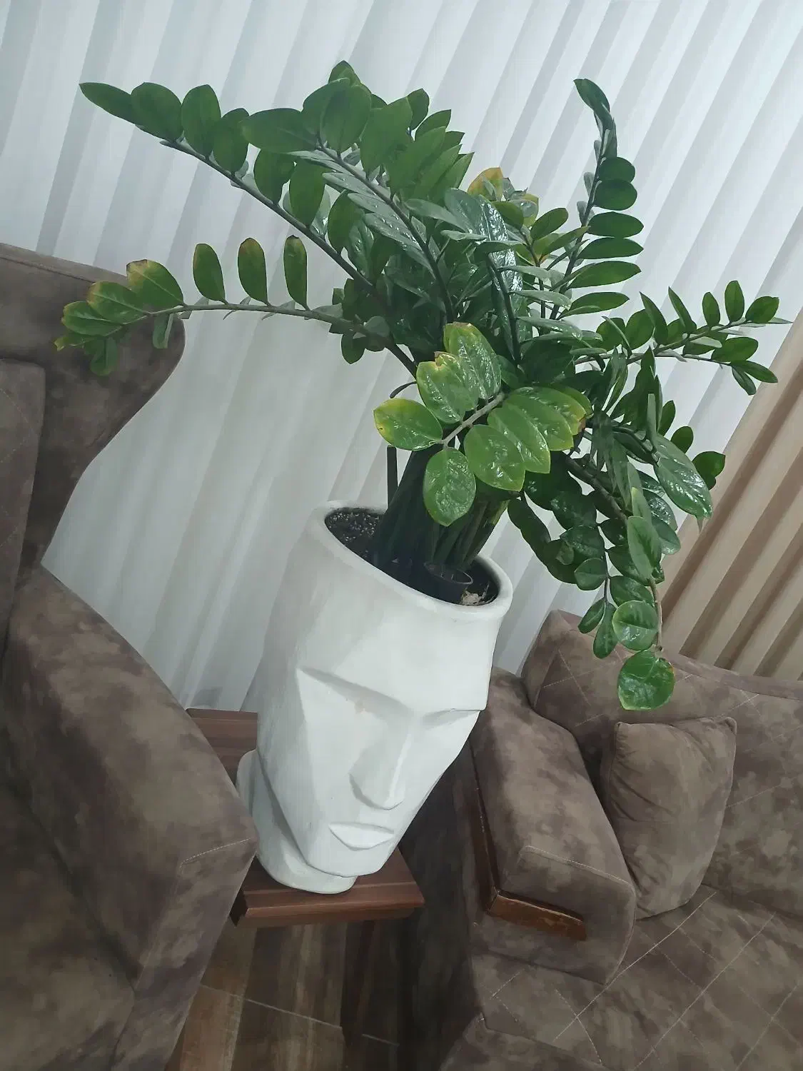 گل و گلدان|گل و گیاه طبیعی|مریوان, |دیوار