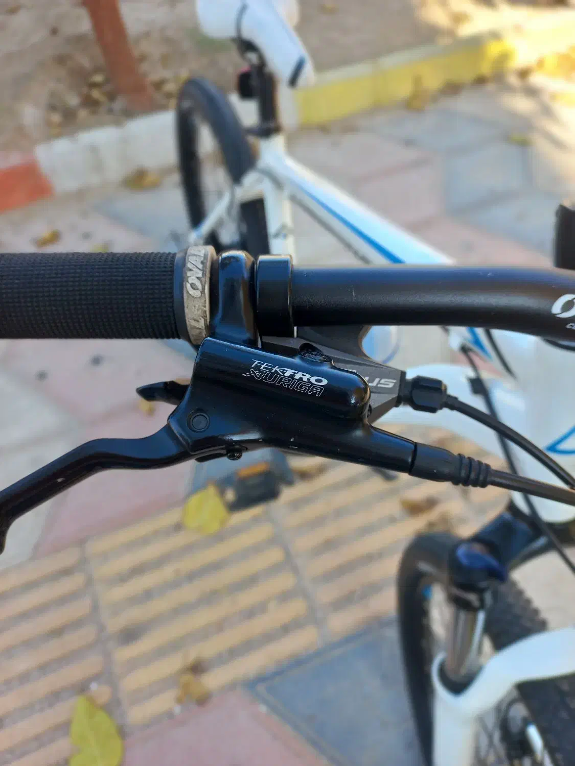 دوچرخه فوجی nevada سایز ۲۶ حرفه ای|دوچرخه، اسکیت، اسکوتر|شاهرود, |دیوار