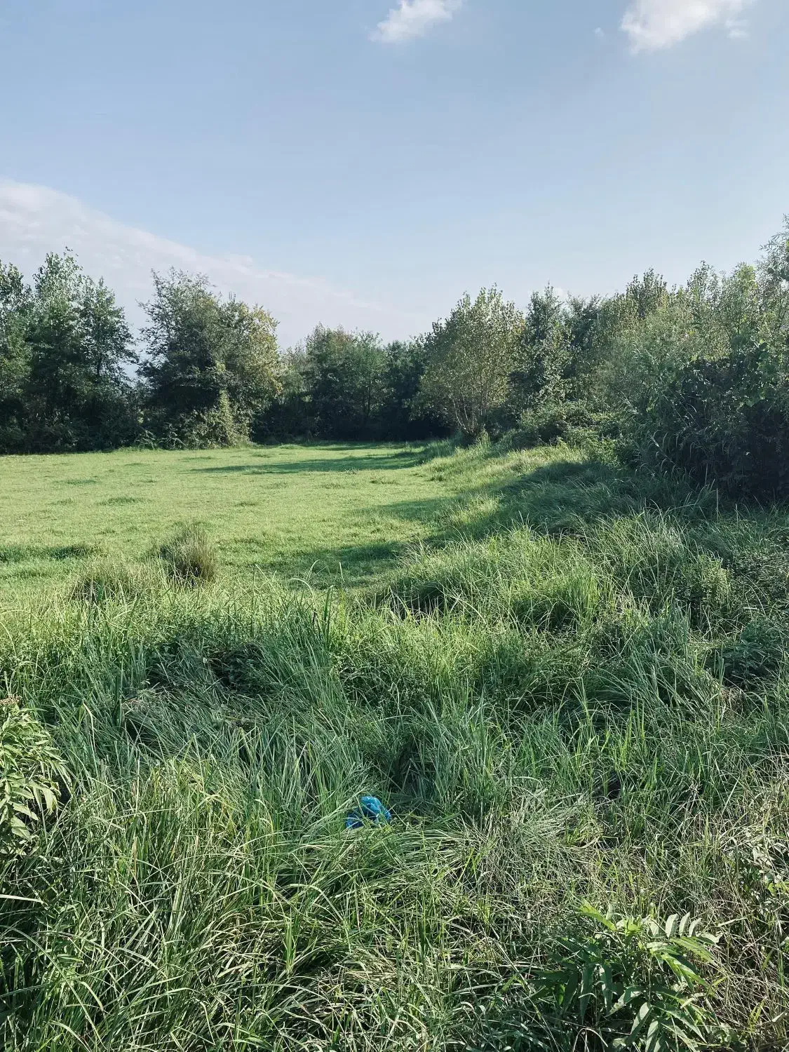 زمین باغی بازکیاگوراب ایشکا|فروش زمین و ملک کلنگی|لاهیجان, بازکیاگوراب|دیوار