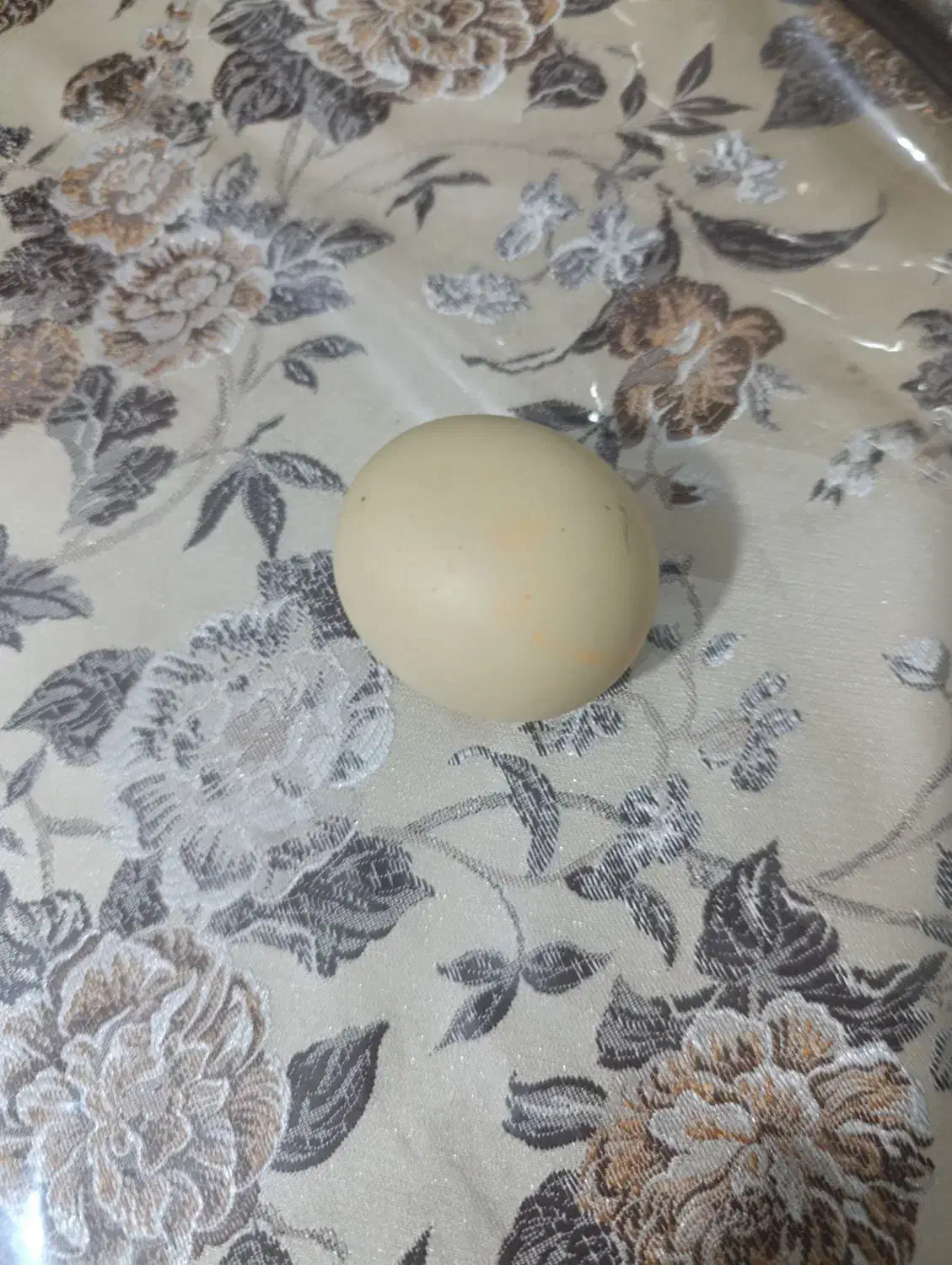 سنگ نمیدونم چیه گرد صاف|کلکسیون اشیاء عتیقه|حمیدیا, |دیوار