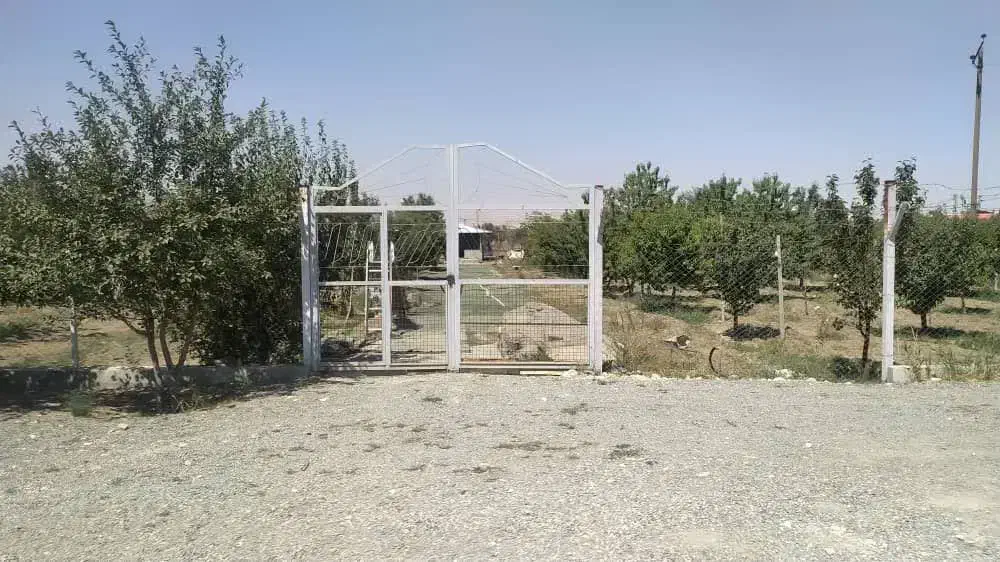 باغ ۲۷۱۰ متری بر جاده گردشگری حسنلو (نقده)|فروش زمین و ملک کلنگی|محمدبار, |دیوار