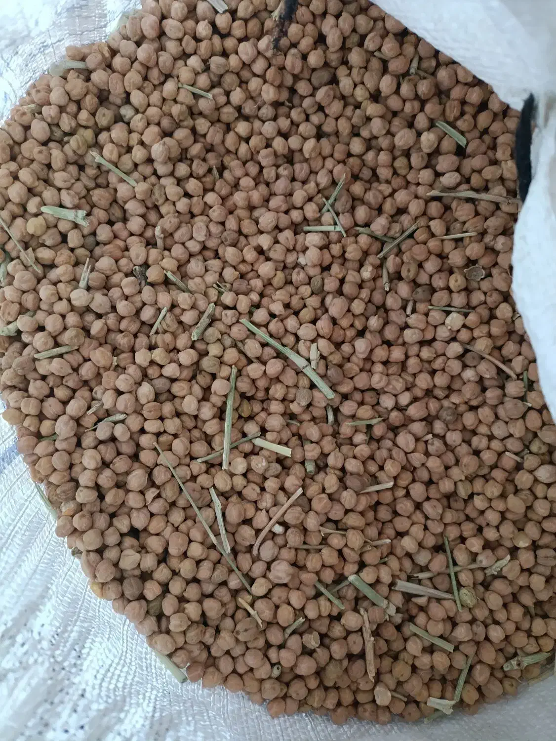 نوک (نخود  ترکیه )|خوردنی و آشامیدنی|پیرانشهر, |دیوار