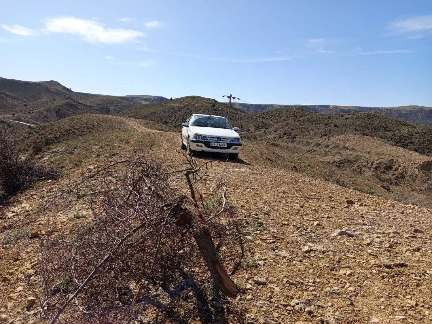 فروش|خودرو کلاسیک|آشخانه, |دیوار