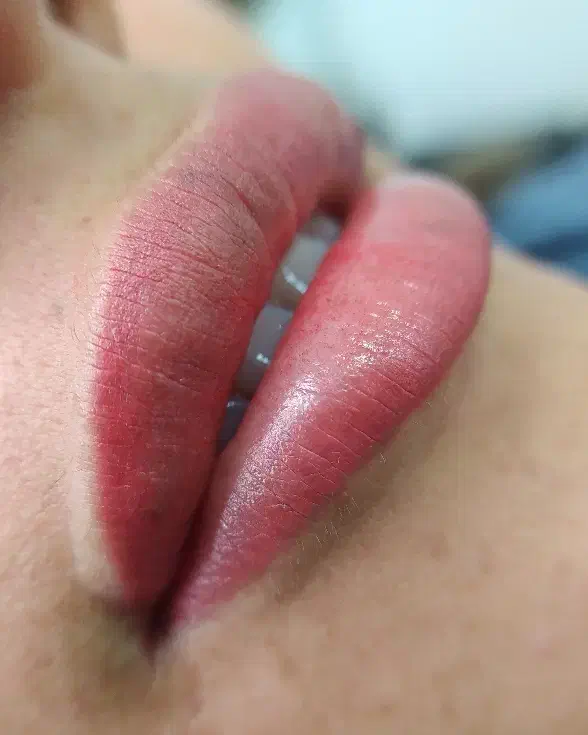 شیدینگ لب به متدجدیددارک لیپس|خدمات آرایشگری و زیبایی|بندرعباس, |دیوار