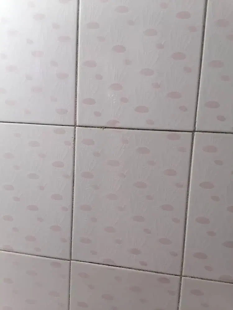 عایق نم رطوبت چکه حمام سرویس بالکن بدون تخریب|خدمات پیشه و مهارت|الیگودرز, |دیوار