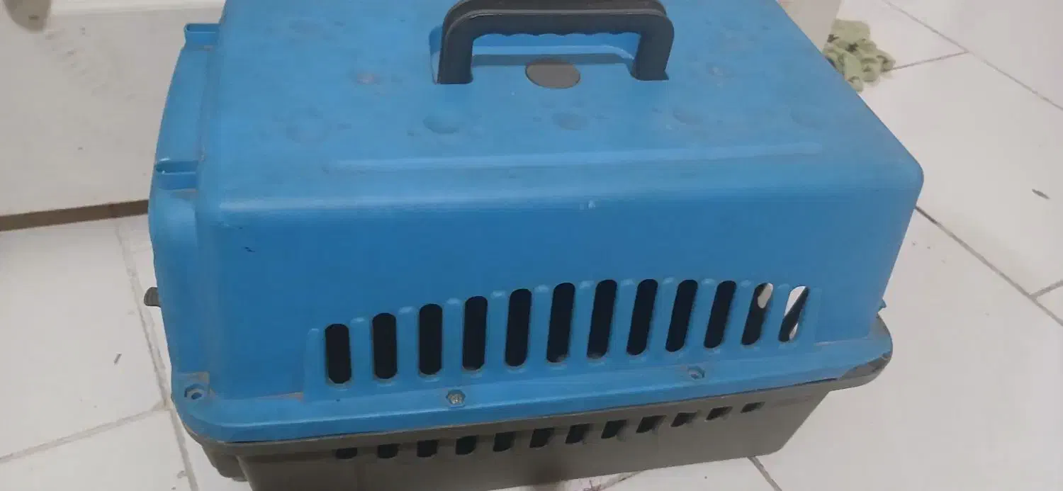 باکس|لوازم جانبی حیوانات|پرند, فاز ۶|دیوار