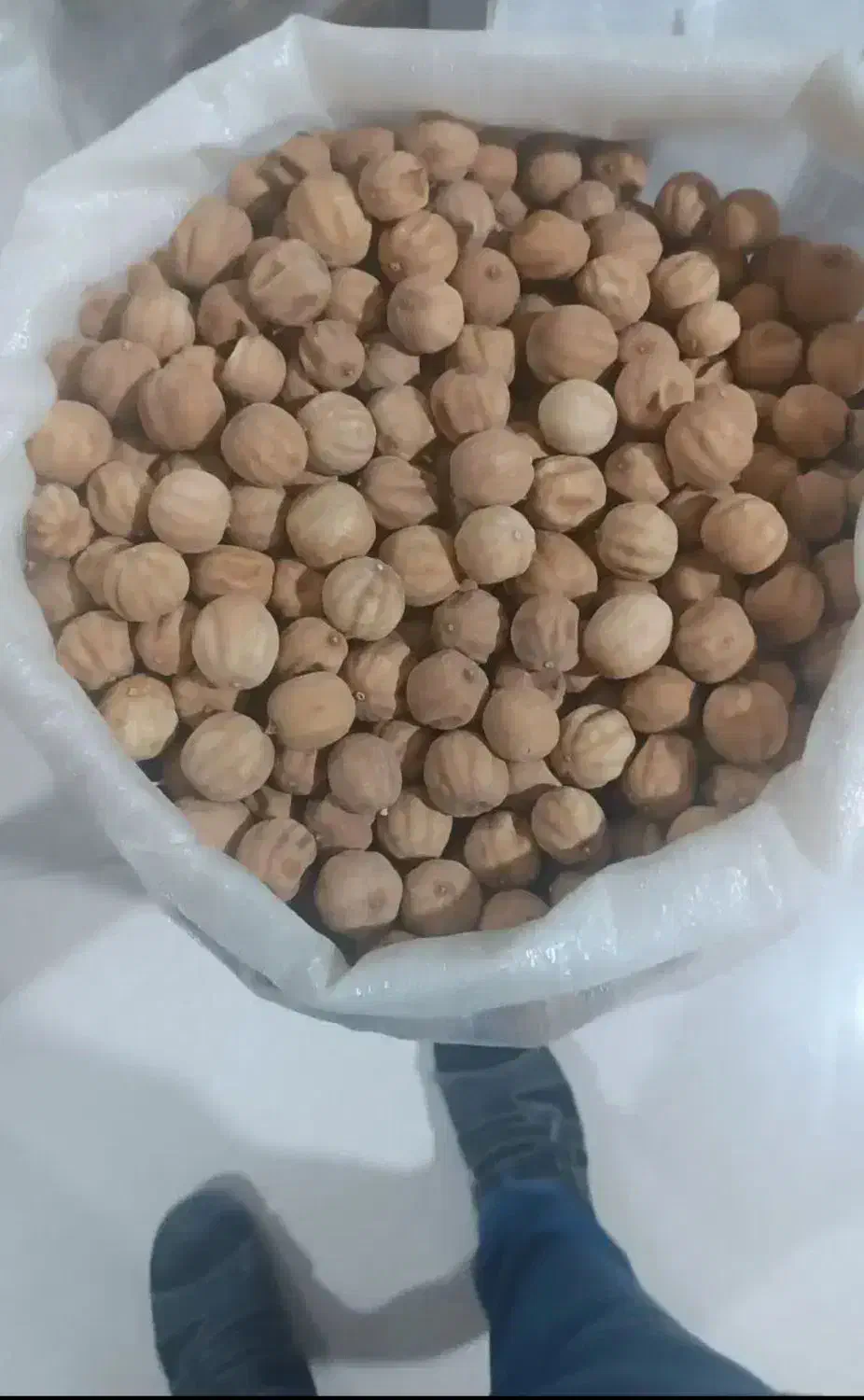 خریدار لیمو خشک صندوقی و کیلویی. نقد|خدمات باغبانی و درختکاری|جهرم, |دیوار