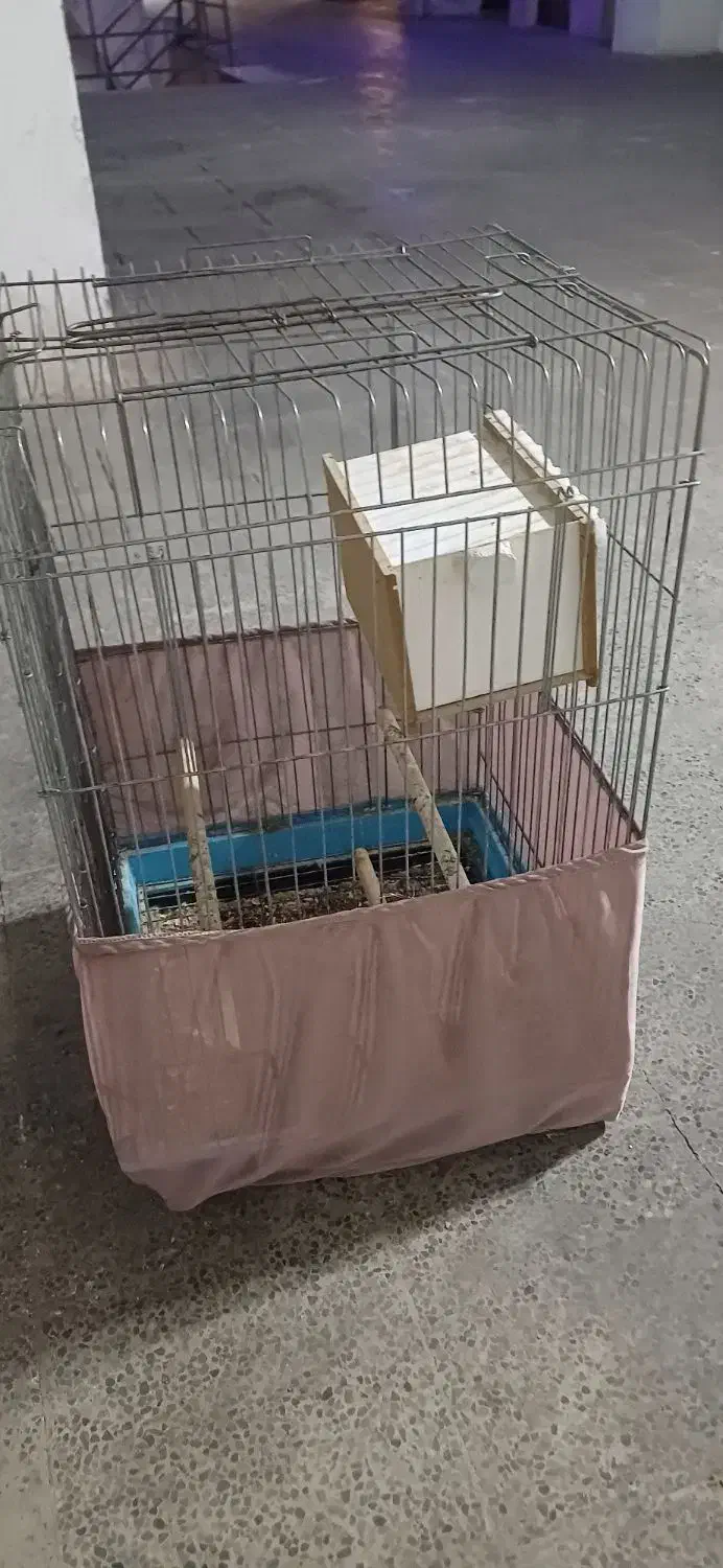 قفس پرنده سایز بزرگ|لوازم جانبی حیوانات|فردیس, شهرک ۱۱۰|دیوار