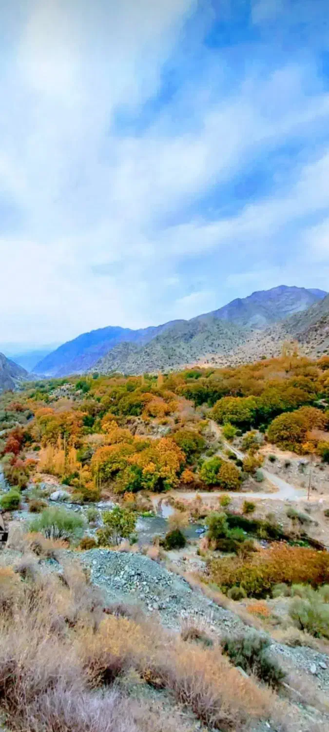 کود پتاس|خدمات باغبانی و درختکاری|جیرفت, |دیوار