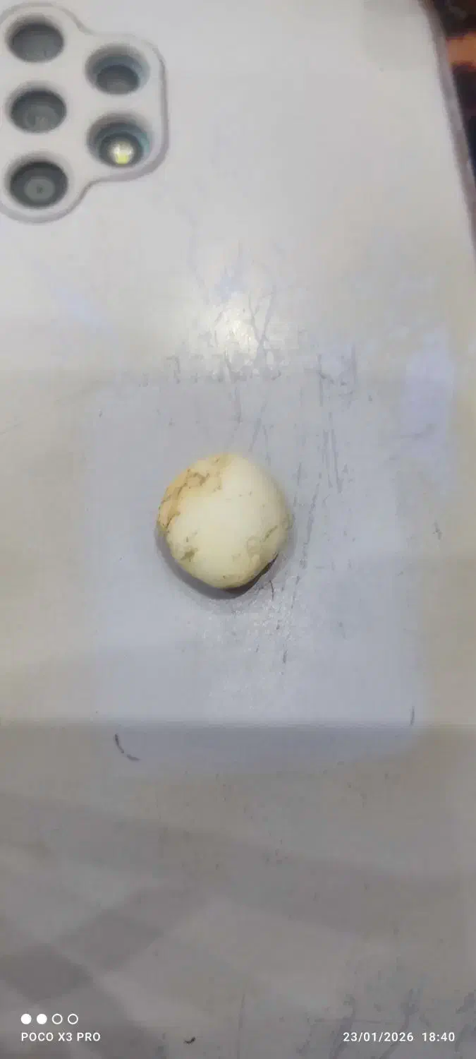 فروش سنگ قیمتی|کلکسیون اشیاء عتیقه|شوشتر, |دیوار