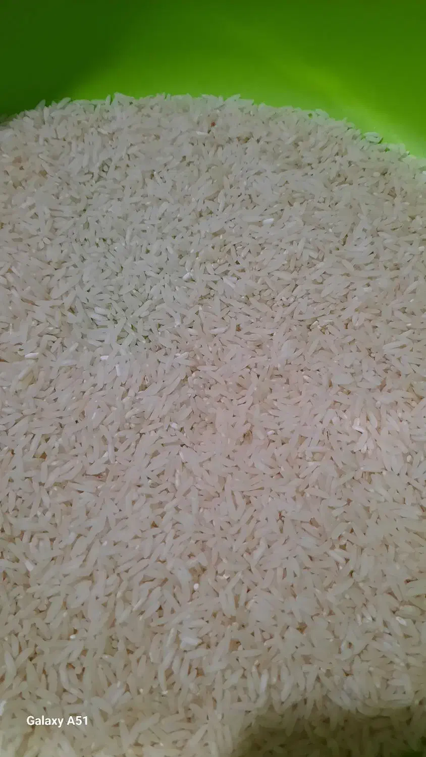 جوانه برنج طارم هاشمی درجه یک|خوردنی و آشامیدنی|آمل, |دیوار