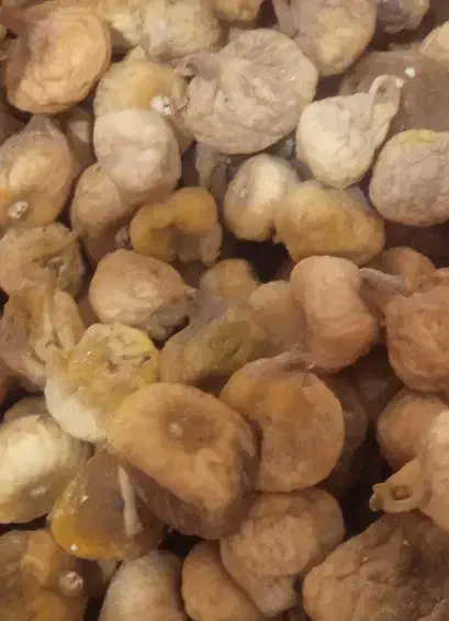 انجیر خشک|خوردنی و آشامیدنی|فردیس, شهرک شهید حسینی|دیوار