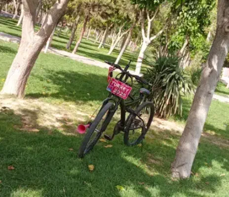 دوچرخه 26|دوچرخه، اسکیت، اسکوتر|رباطکریم, نصیرشهر|دیوار